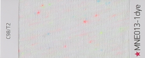 广东MNE013-1Dye  vol.40