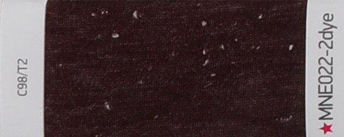 广东MNE022-2dye  vol.40